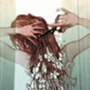 mimosa-esplosa avatar