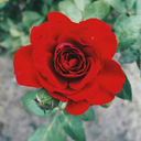 mimundoalparalelo avatar