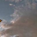 mina-the-knight avatar