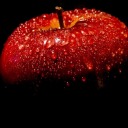 minaslittleone avatar