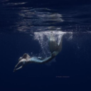 mind-spending avatar