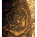 mind-wanderers-thoughts avatar