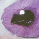 mind0ut0fc0ntr0l2 avatar