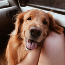 mindfulmoments avatar