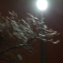 mindless-in-wonderland avatar