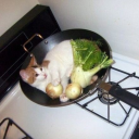 mindless-mush avatar