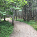 mindlessmeaninglessmediocre avatar