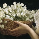 mindlessverses avatar