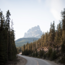 mindlythoughts avatar