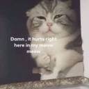 mindnight-memories-2014 avatar