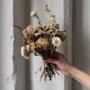 mindovermxtter avatar