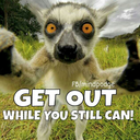 mindpodge-blog avatar