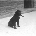 mindrecordings avatar