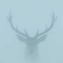 mindshiftstyle avatar