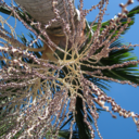 mindysolis-blog avatar