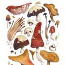 minecraft-frog avatar