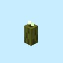 minecraft-sea-pickle avatar