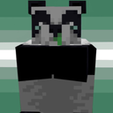 minedcraf-panda-babey avatar
