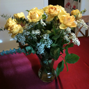 mineralfinder avatar