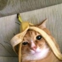 mineralogie27 avatar