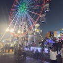 minervanin-baykusuu avatar