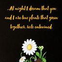 mineyobusiness18 avatar