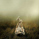 minhamavelsolidao avatar