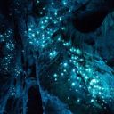 mini-candu-cane avatar