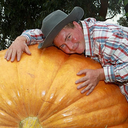 mini-eggaholic avatar