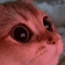 mini-labrynth avatar