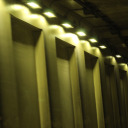 miniaturecookiebageldonut avatar