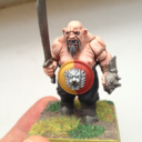 miniatures-boardgames avatar