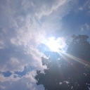 miniaturestarfishcreator avatar