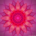 miniilifeliss avatar