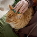 minikbidefneagaci avatar