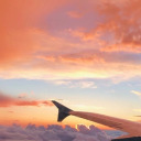 minikbirkoala avatar