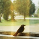 minikkus-blog avatar