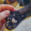 minimalsunshine avatar