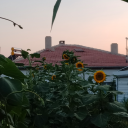 miniminibirkusunamk avatar