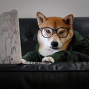 minimintbunny avatar