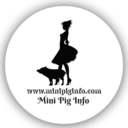 minipiginfo avatar