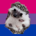 miniporcupine avatar