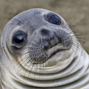 minispooners-blog avatar