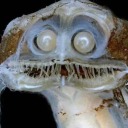 ministerofnothing avatar