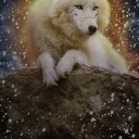 mink-of-chaos avatar