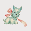 minor-musings avatar