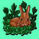 mintandrabbits avatar