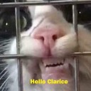 mintawasalreadytaken avatar