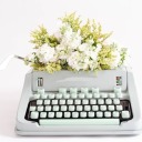 mintranscripts avatar