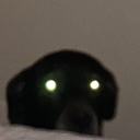 mintylavender avatar